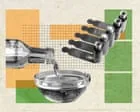 Seed oils: São prejudiciais à saúde?