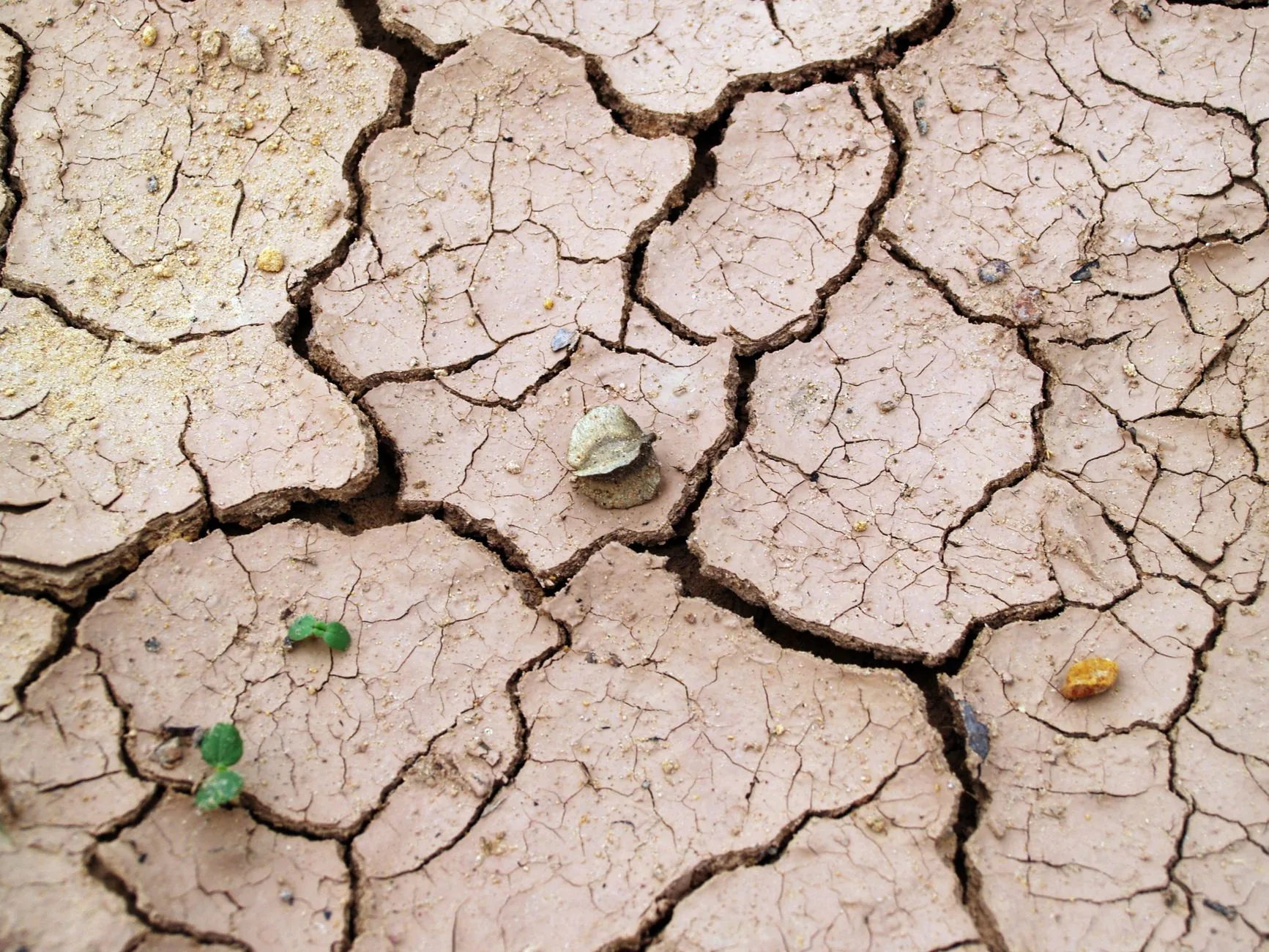 Análise: A Conexão entre Mudanças Climáticas e Outros Desafios Ambientais