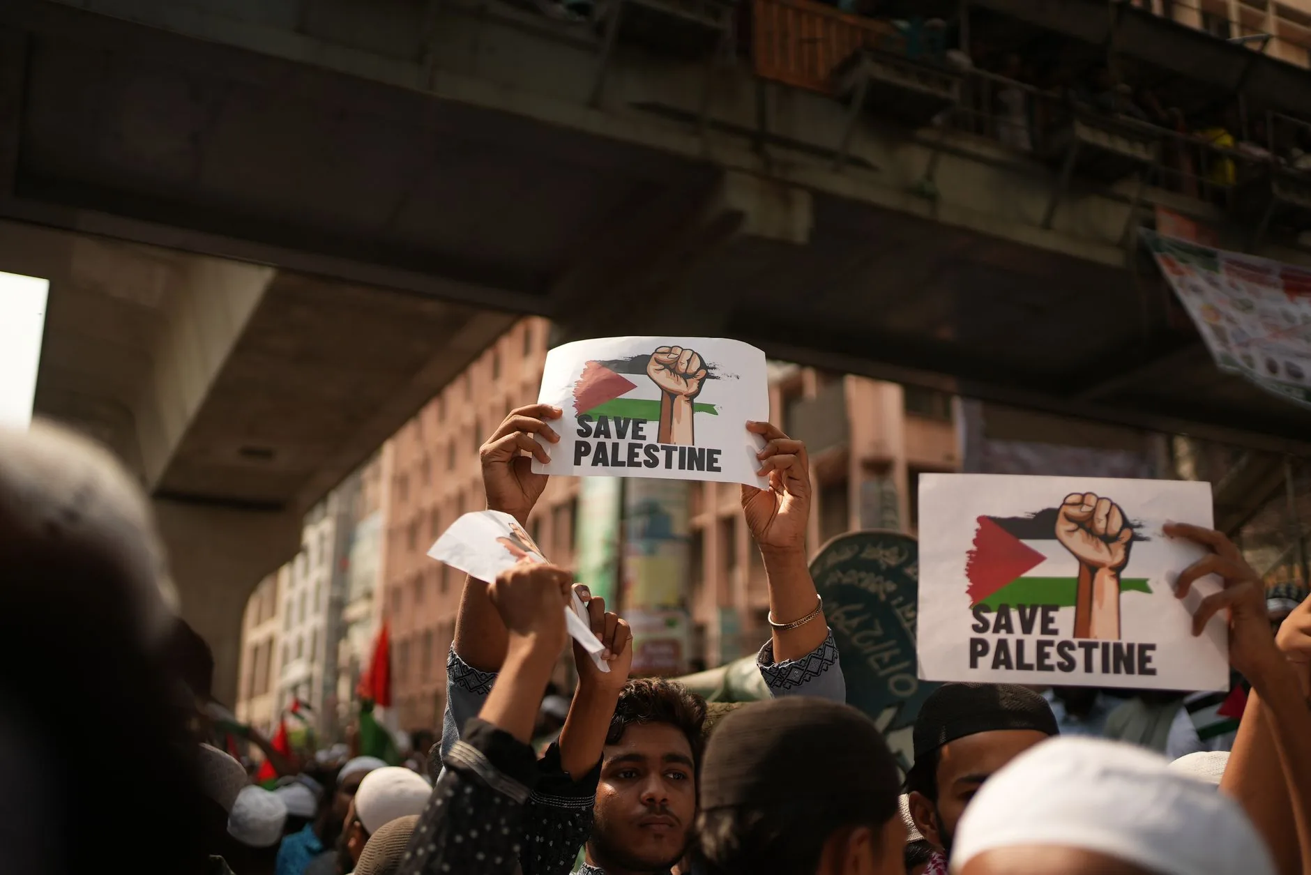 Ativistas denunciam agressões por parte de colonos israelenses no oeste palestino