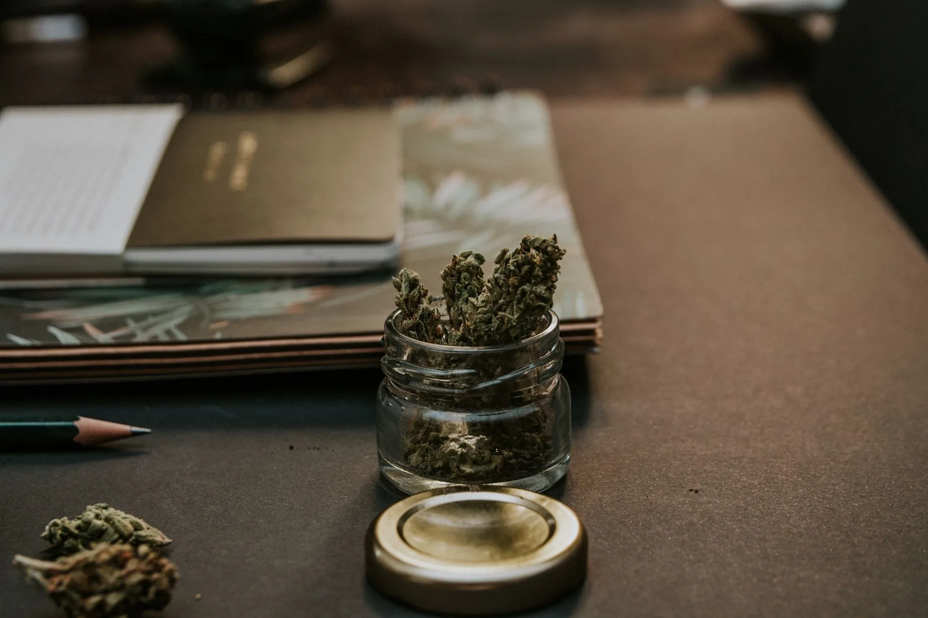 Veterinária estuda cannabis para cães e gatos a longo prazo