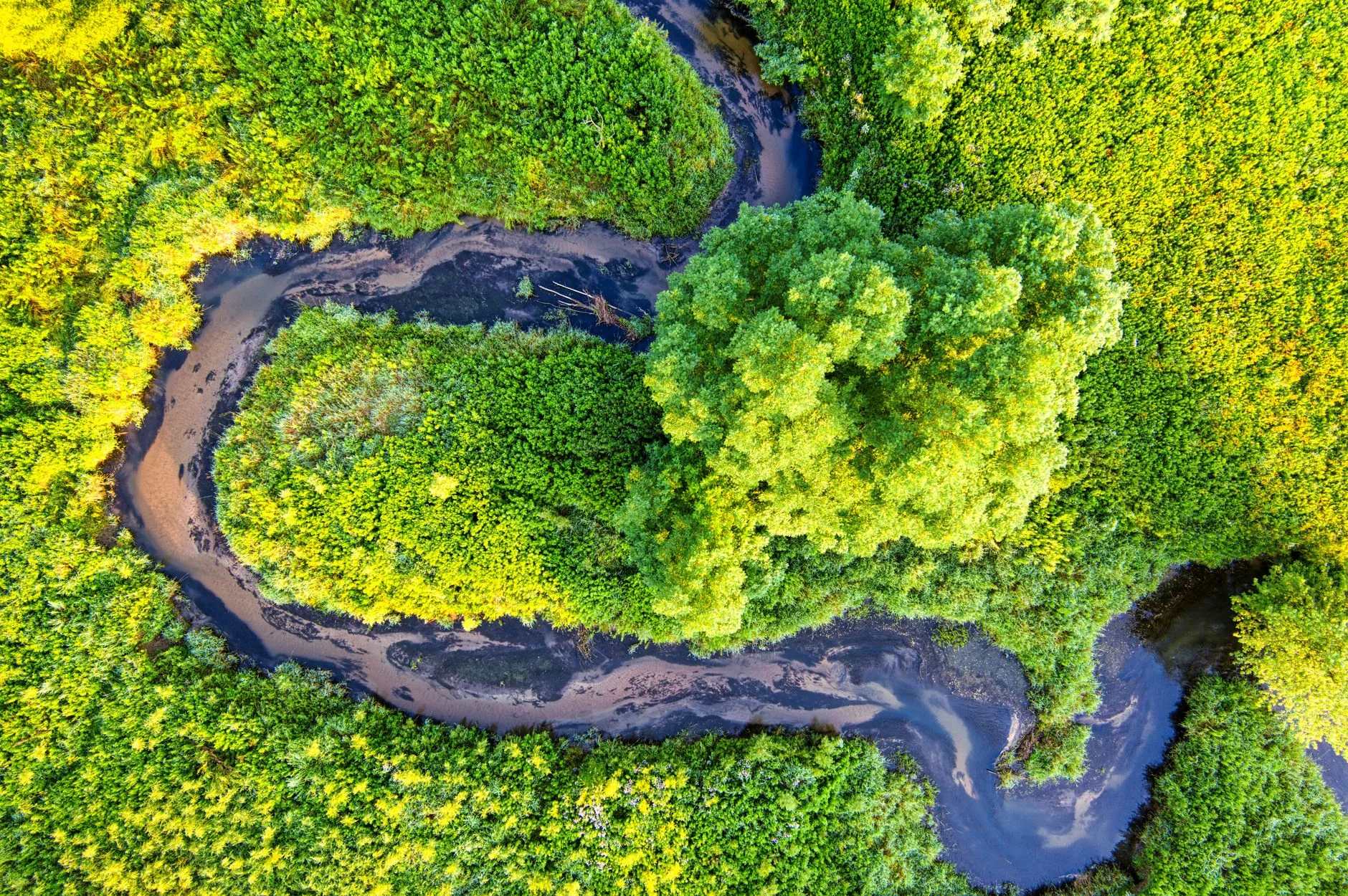 Balanço: As Principais Notícias do Meio Ambiente no Período