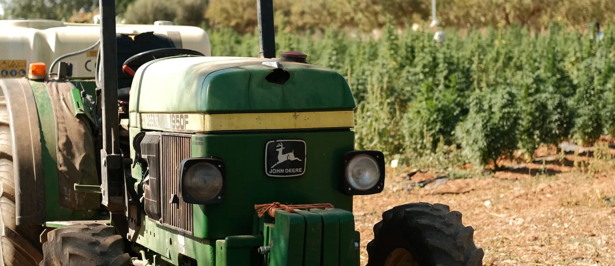 Viagem pela Europa em Busca da Crescida da Cannabis