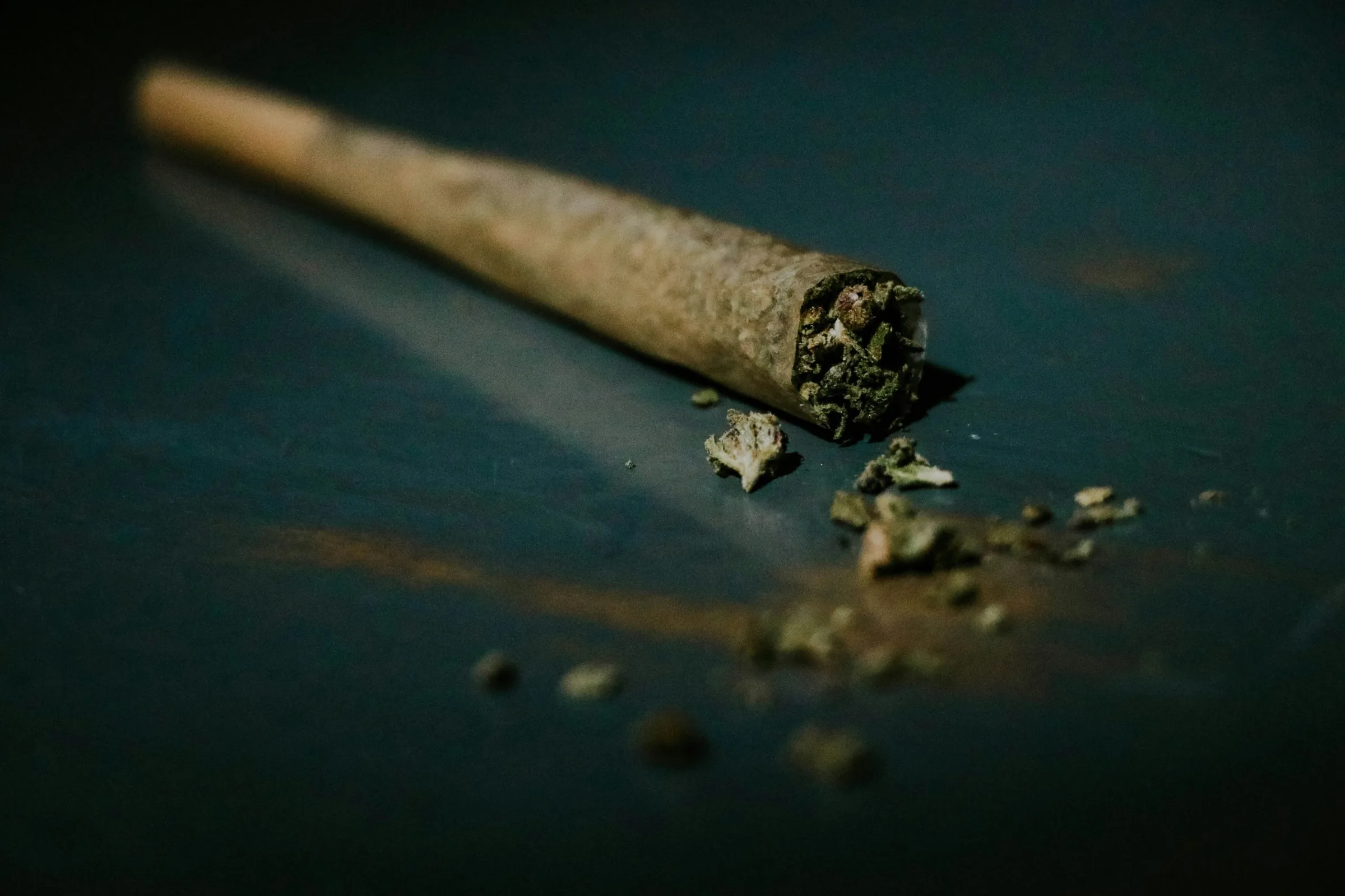 Josh Kesselman Inova na Cannabis: Novo Método de Pre-Rolls