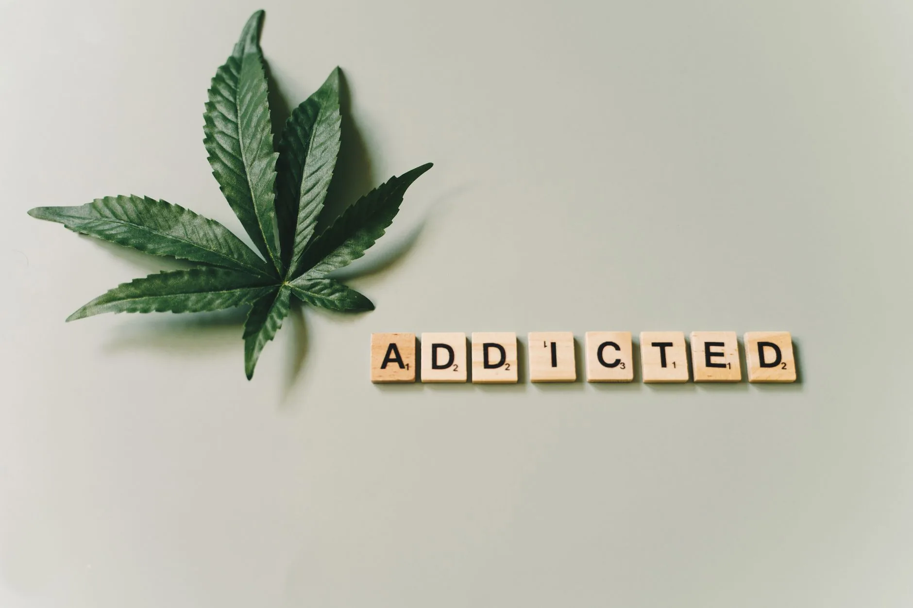 Perguntas e respostas: Cannabis e Políticas de Saúde