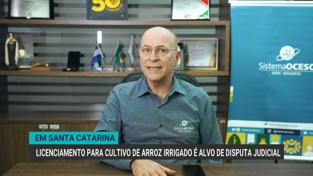 Disputa judicial sobre licenciamento ambiental do arroz irrigado em SC